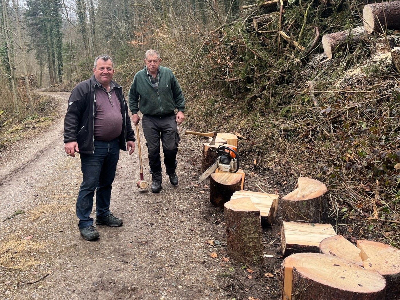 20250408 05 IMG_6050.JPG